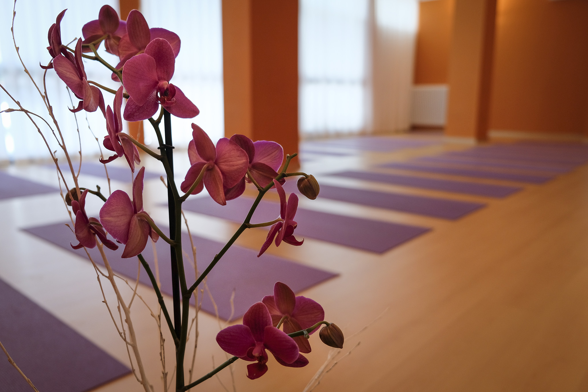 Laboratórios Gilson Cidrim - Agora que você já conhece os benefícios da Yoga,  que tal começar a praticar hoje mesmo e melhorar a sua qualidade de vida?  😉 📲 Separamos alguns apps